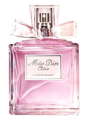 miss dior cherie 2005 vs 2011|dior miss cherie blooming bouquet.